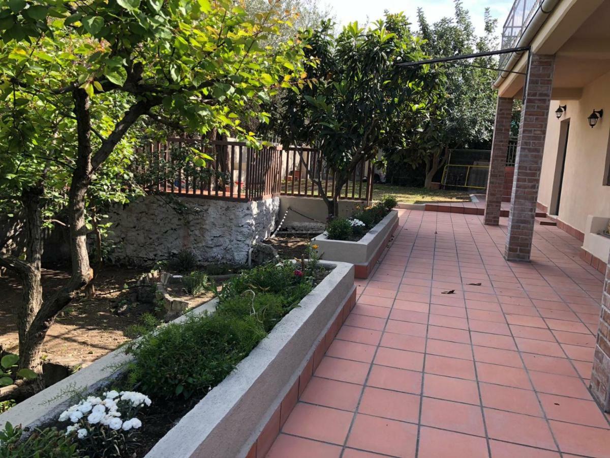 卡塔尼亚Carrubo - Giardino In Citta别墅 外观 照片